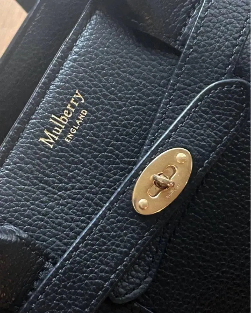 Mulberry mini