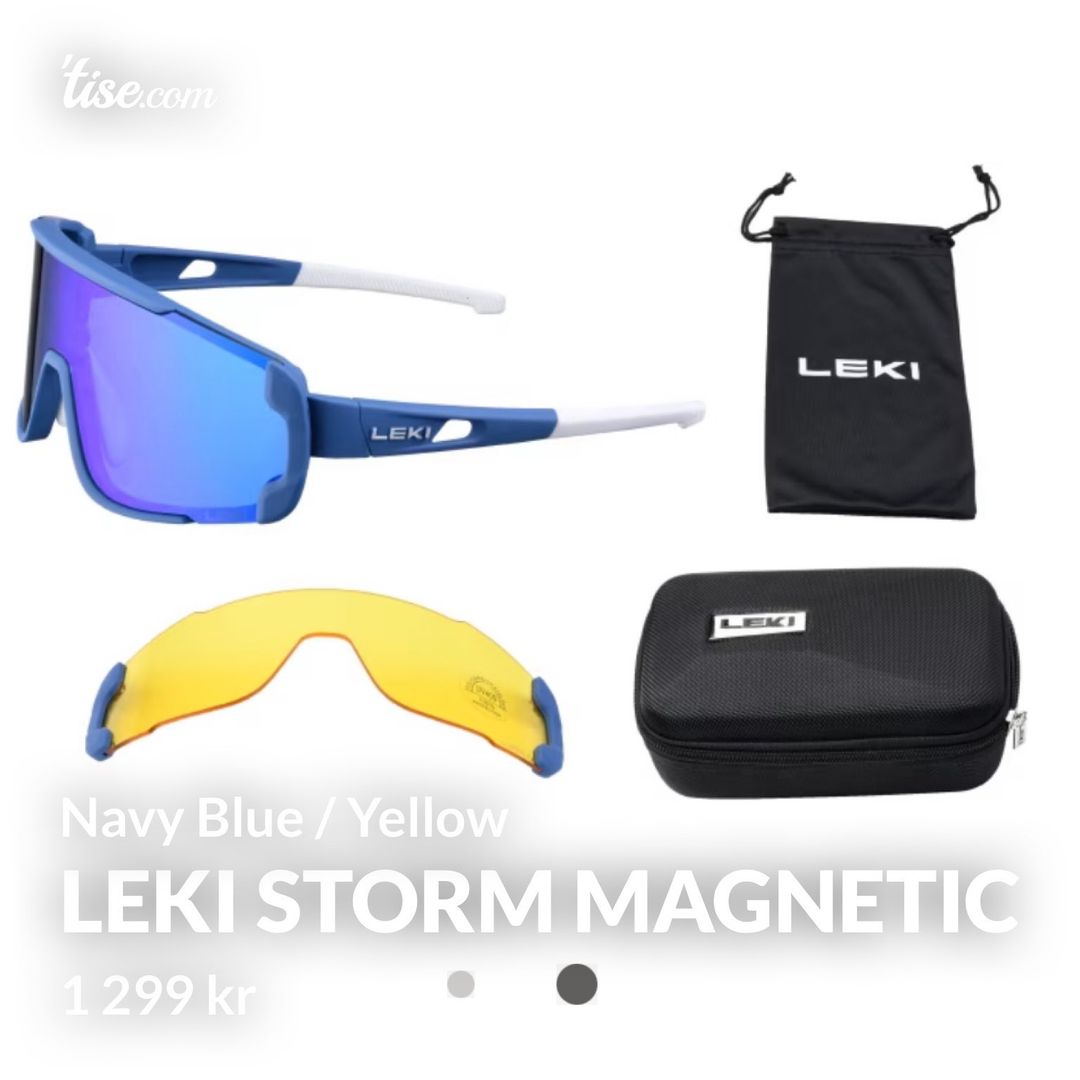 Leki Storm Magnetic