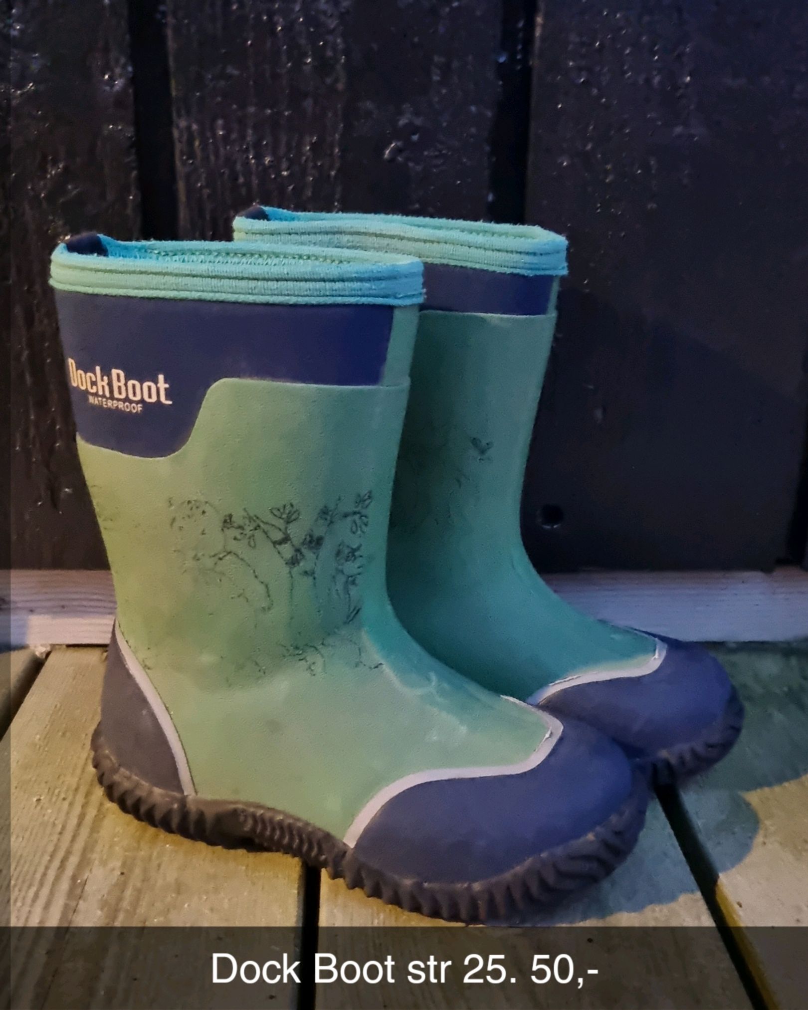 DockBoot