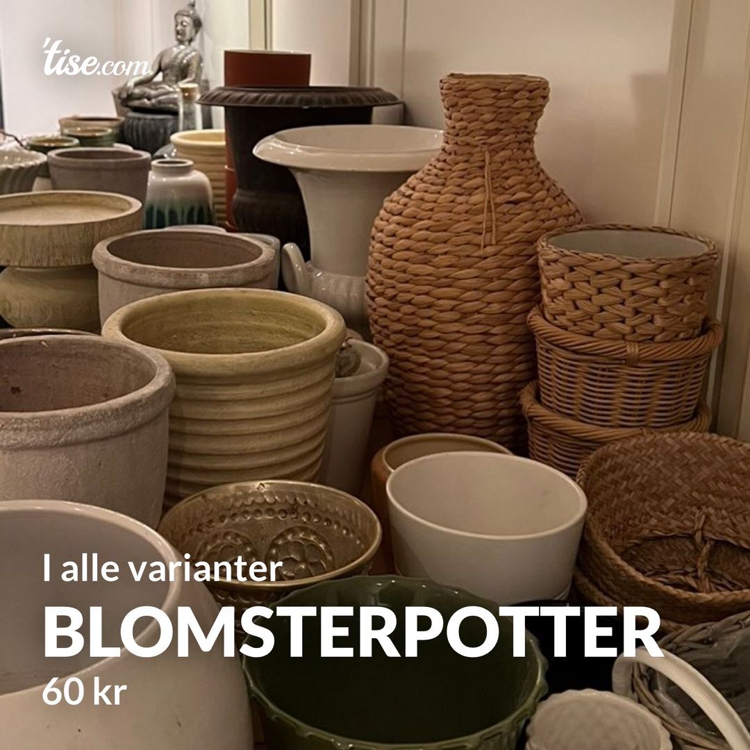 Blomsterpotter