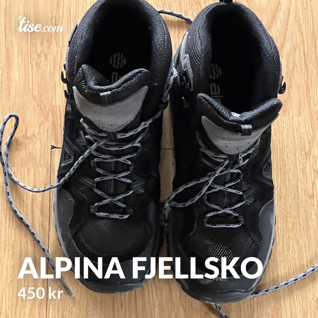 Alpina fjellsko