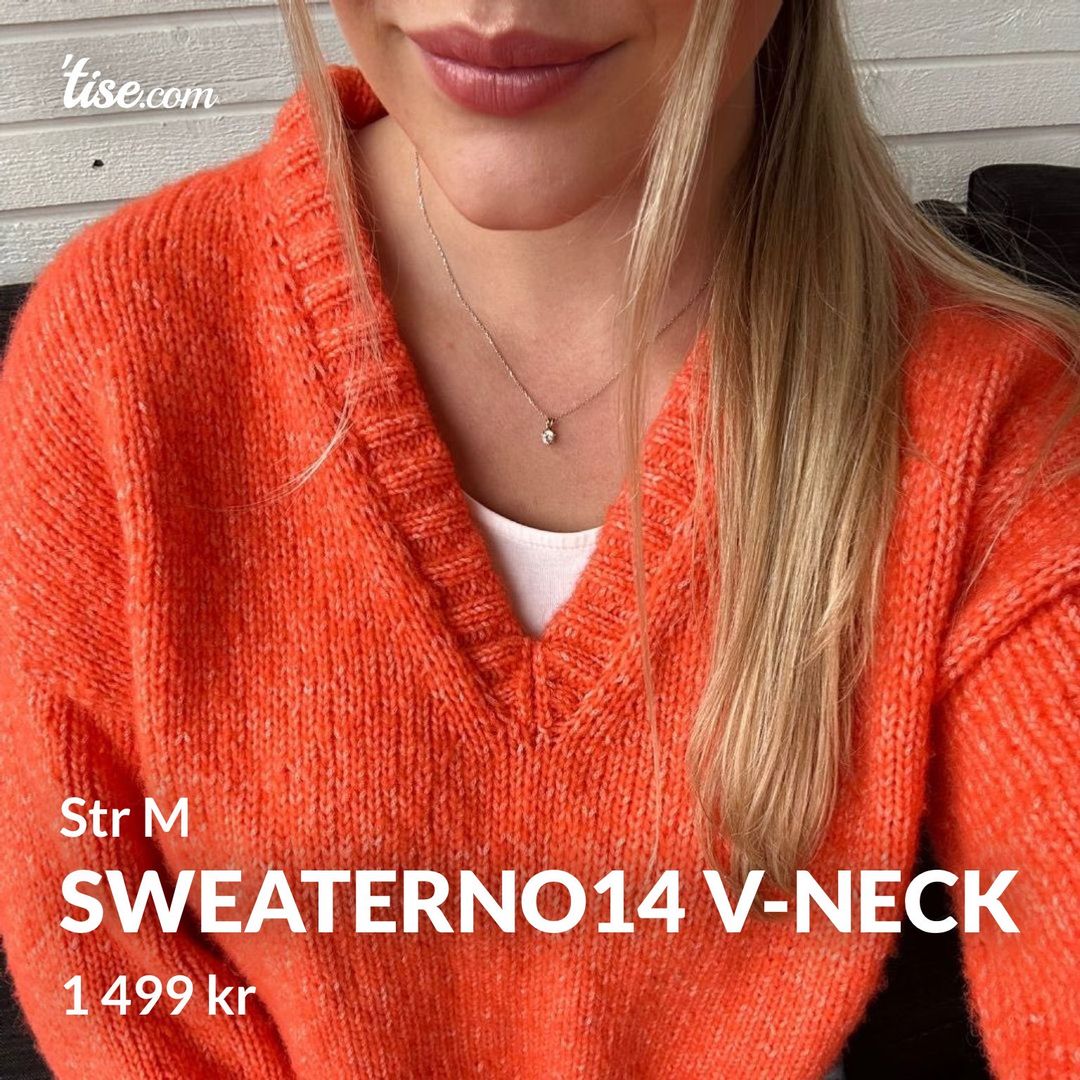 SweaterNo14 v-neck