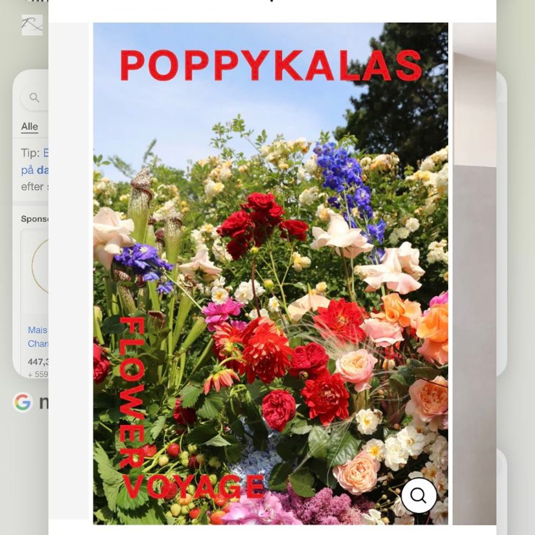 POPPYKALAS PLAKAT