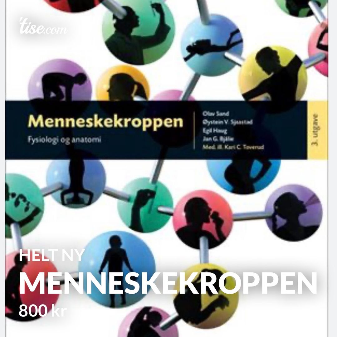 Menneskekroppen