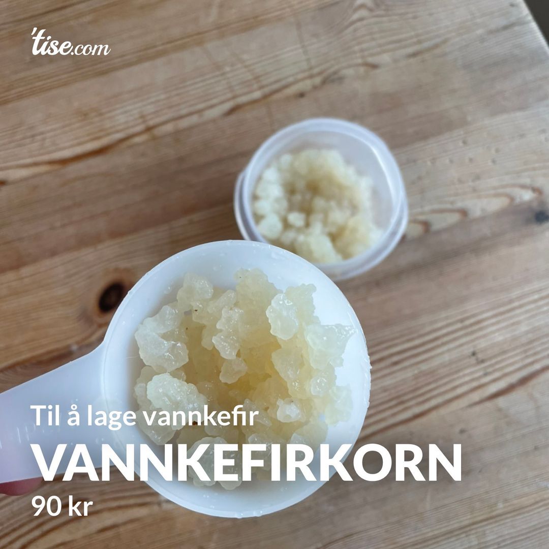 Vannkefirkorn