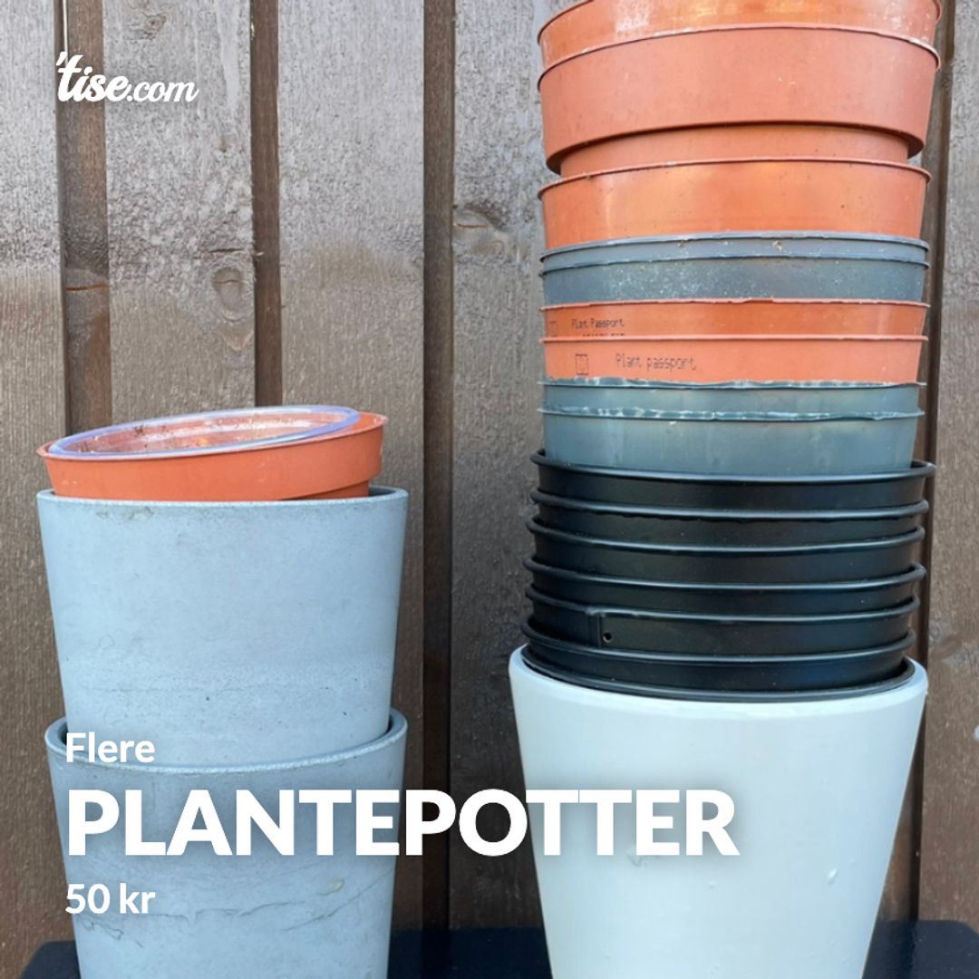 Plantepotter