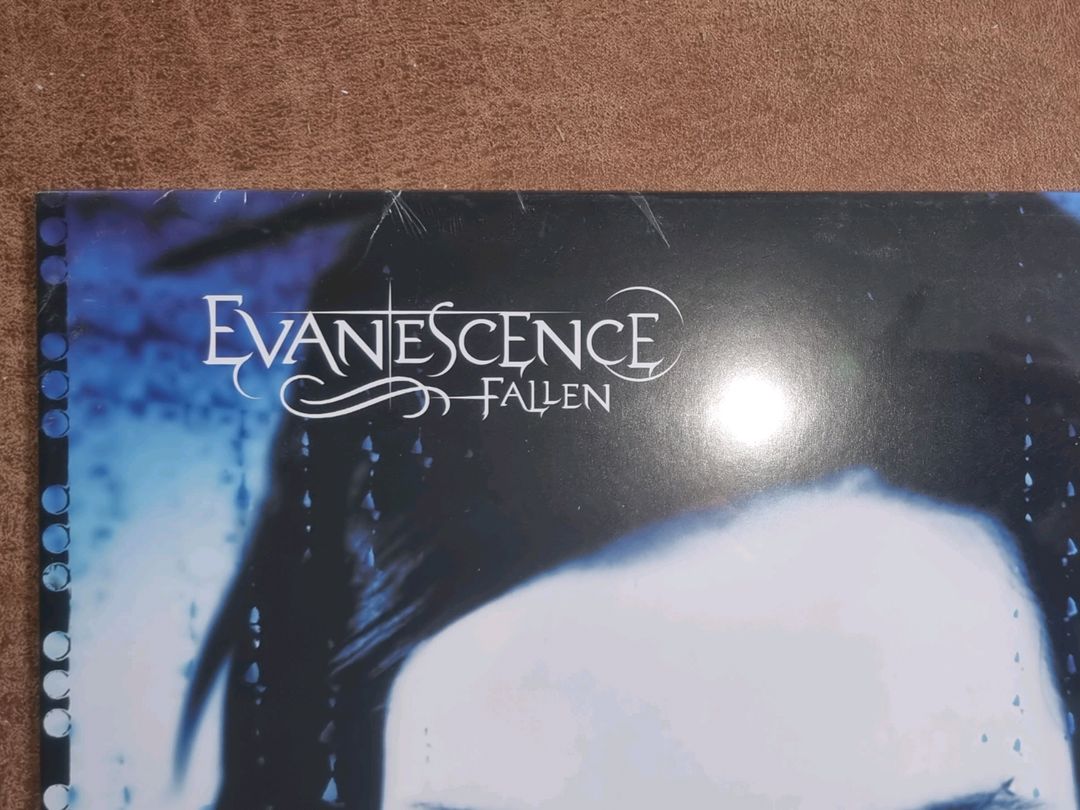 Evanescence - Fallen