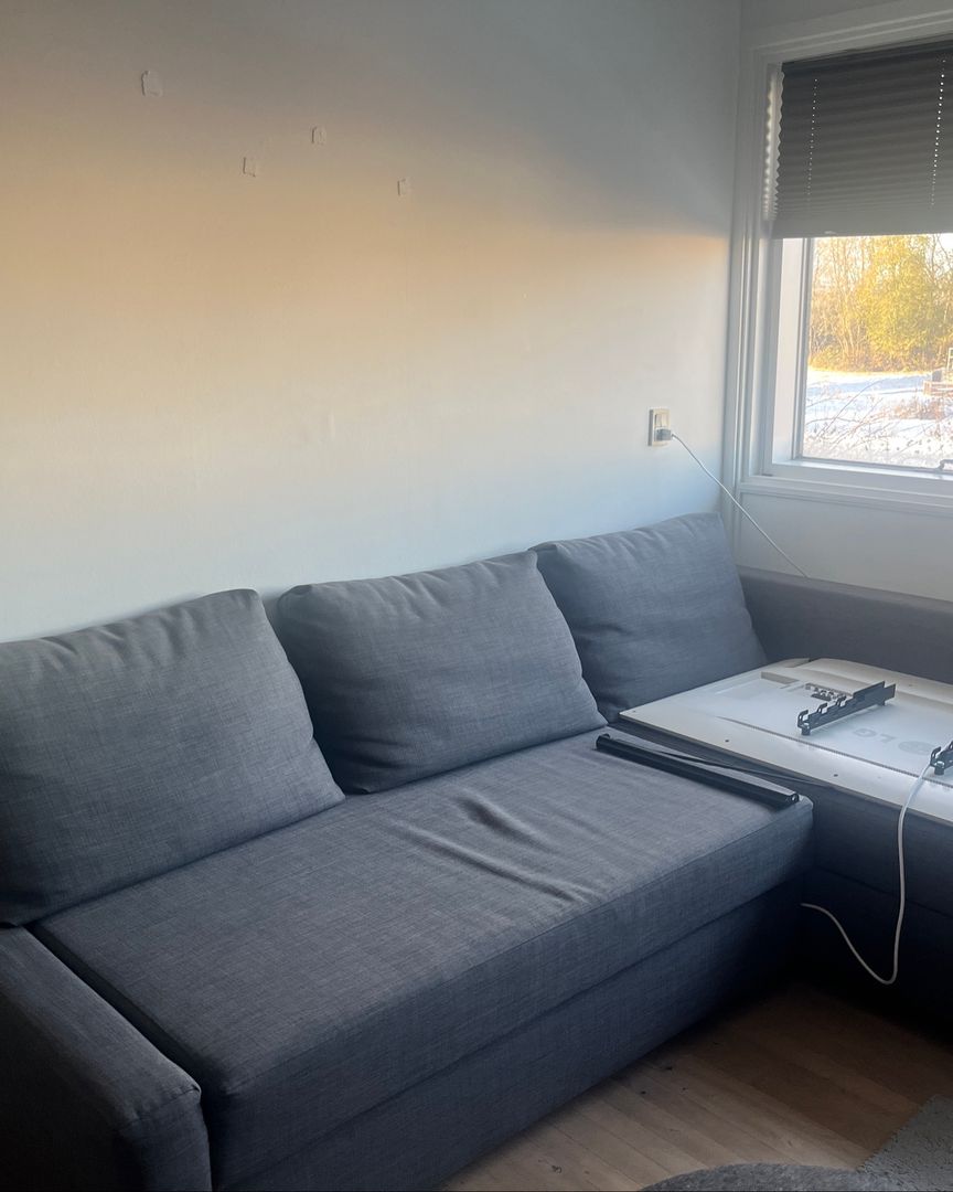 Ikea Sovesofa