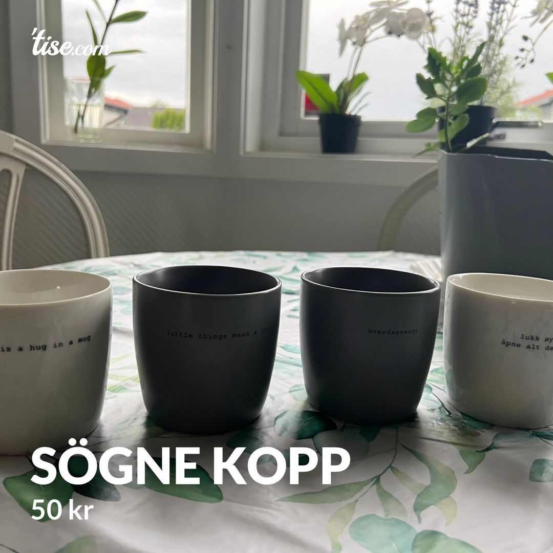 Sögne kopp