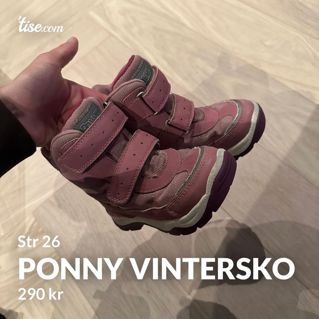 Ponny vintersko