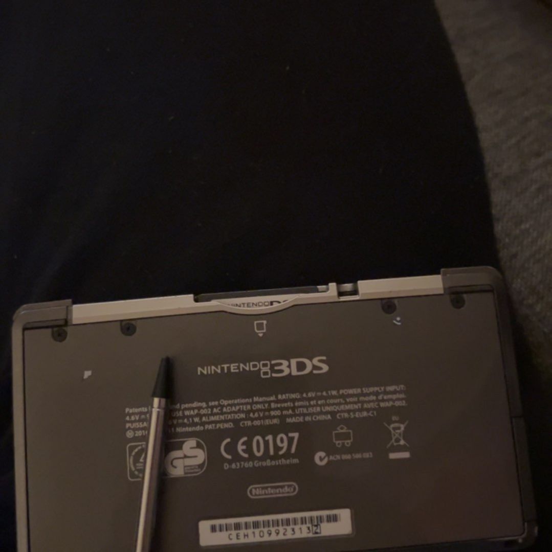 Nintendo 3DS