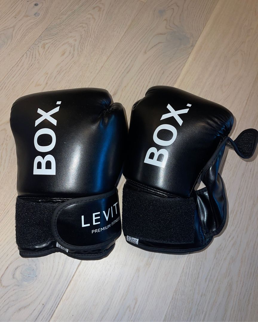 12oz Boxing Gloves