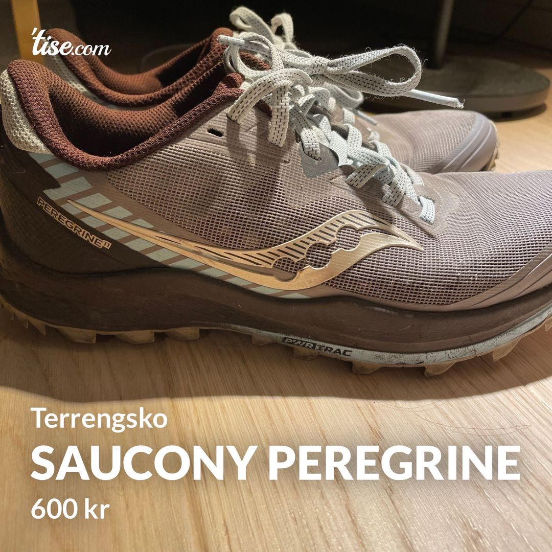 Saucony peregrine