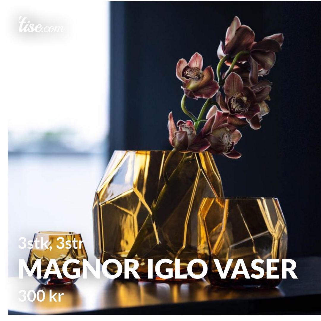 Magnor Iglo vaser