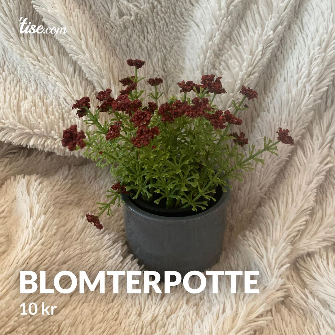 Blomterpotte