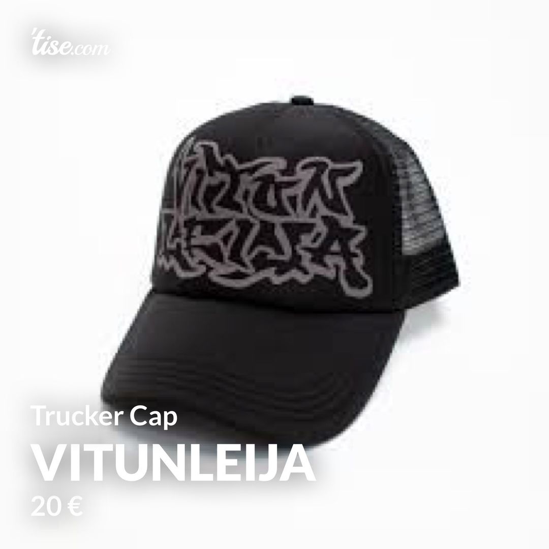 Vitunleija