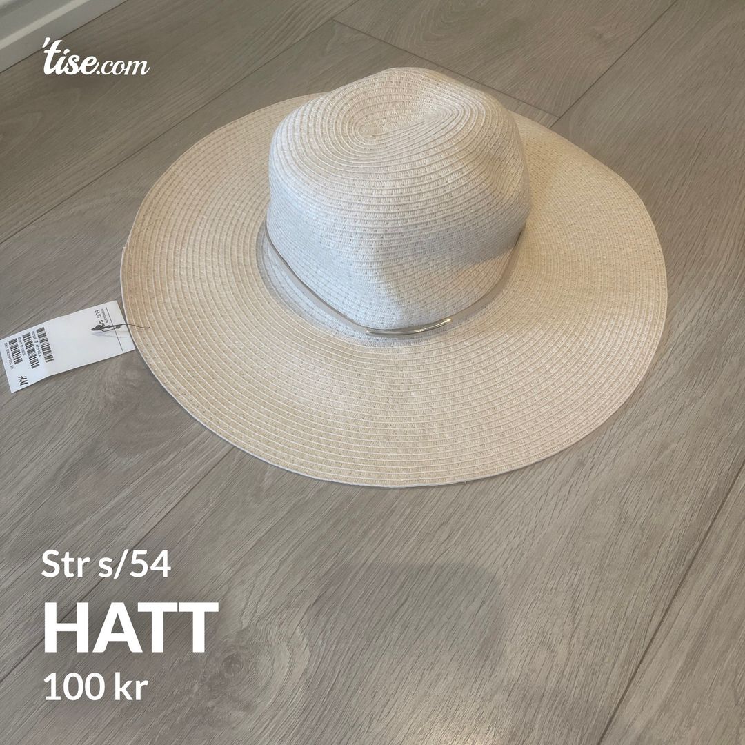 Hatt