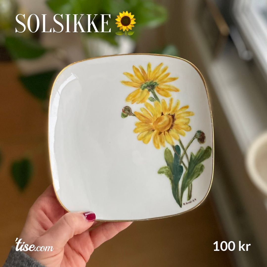 Solsikke🌻