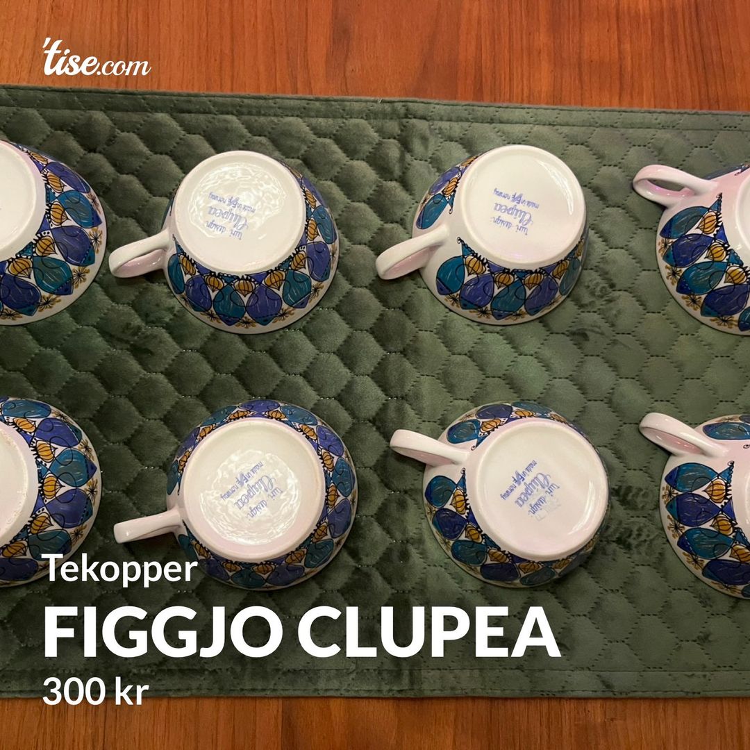 Figgjo clupea