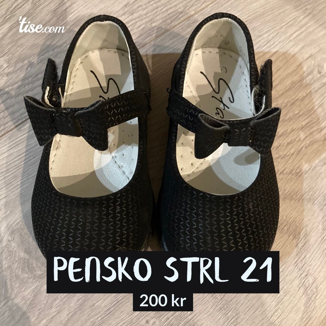 Pensko strl 21