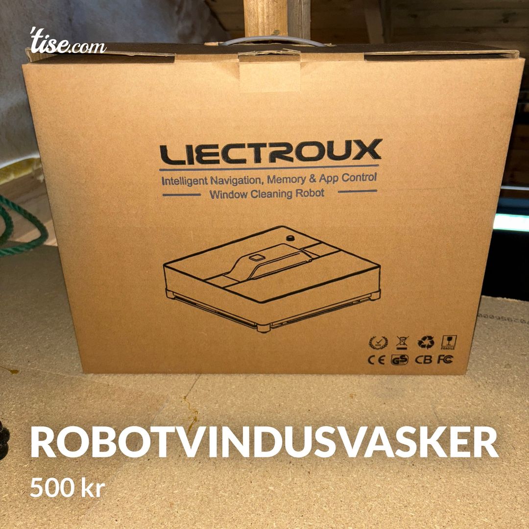 Robotvindusvasker