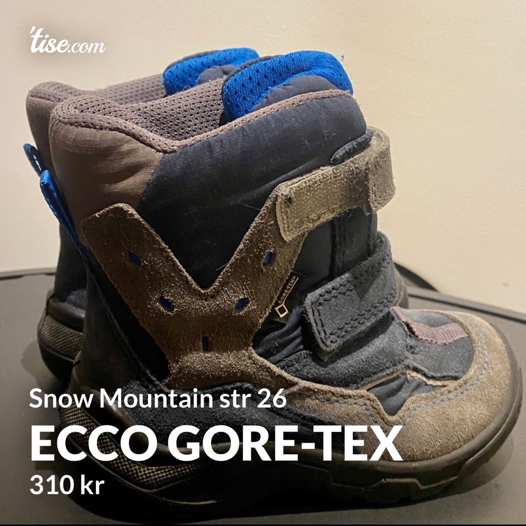 Ecco Gore-tex