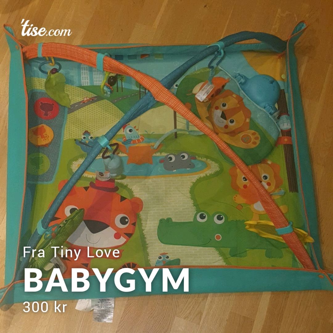 Babygym