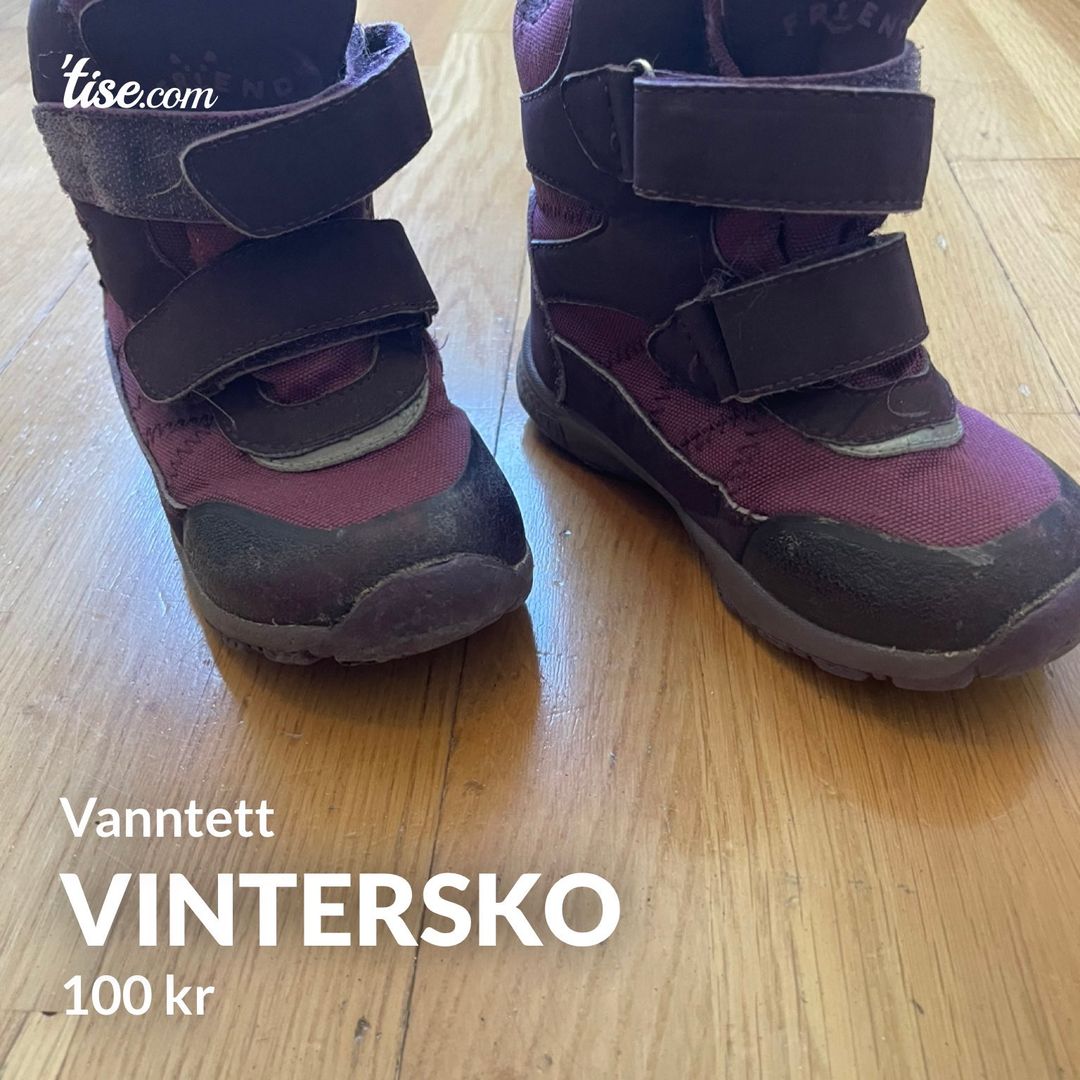 Vintersko