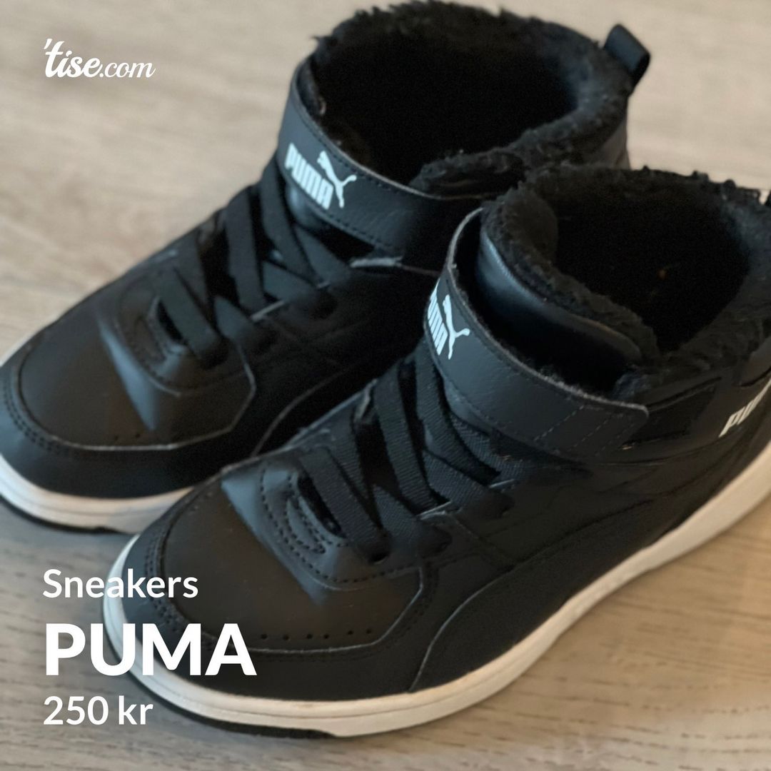 Puma