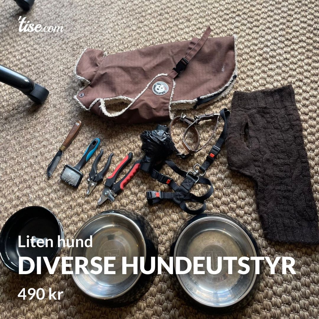 Diverse hundeutstyr