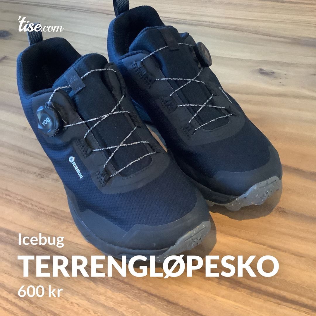 Terrengløpesko