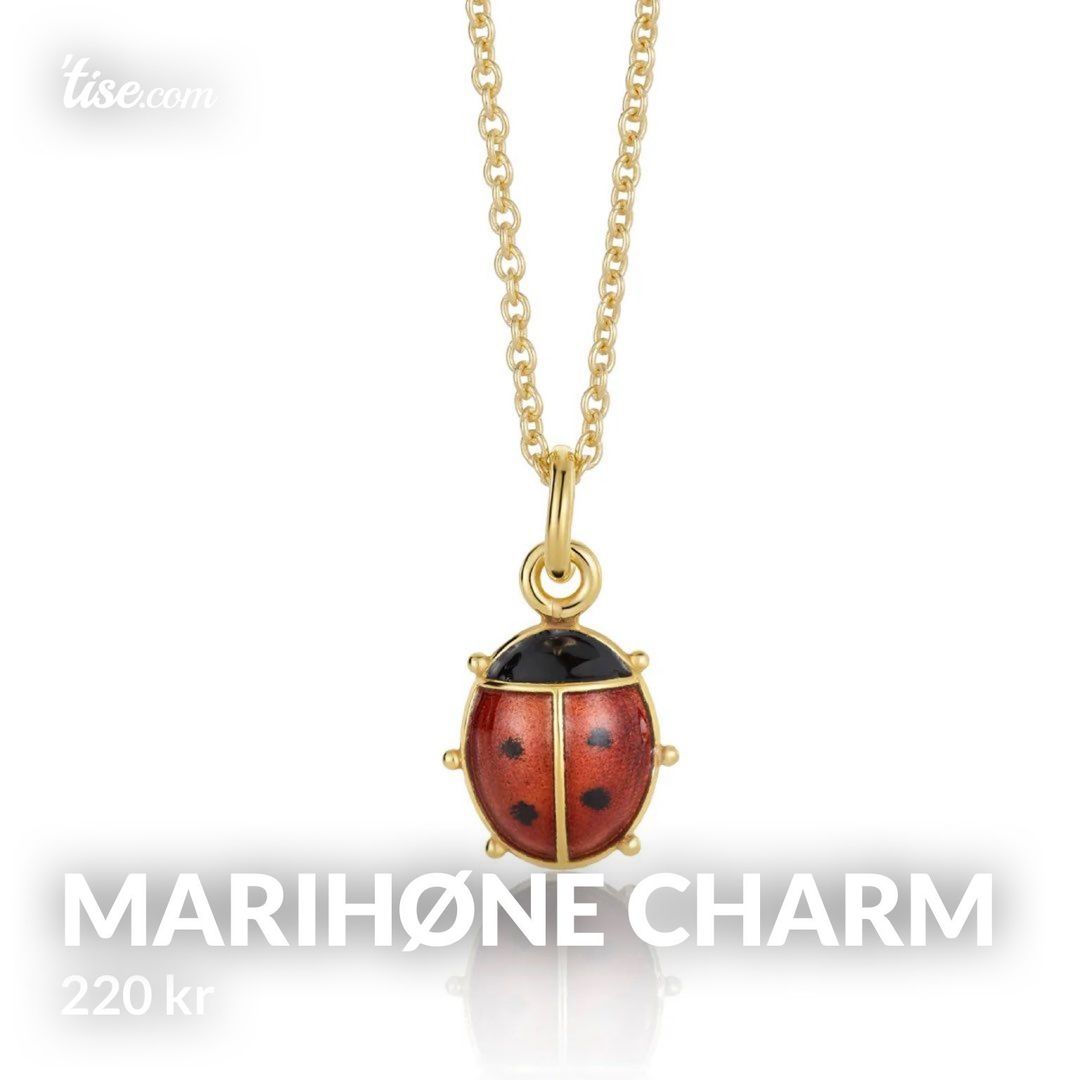 Marihøne charm