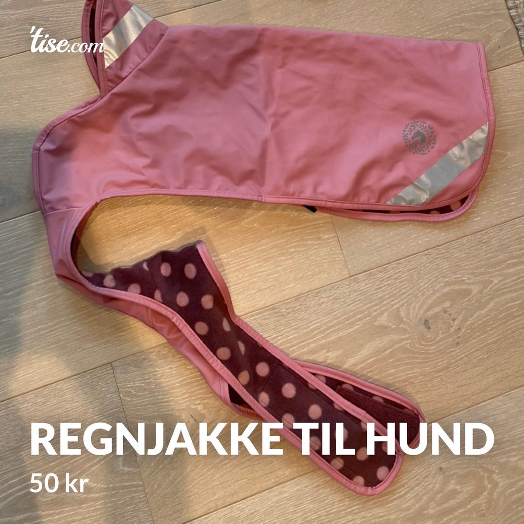 Regnjakke til hund