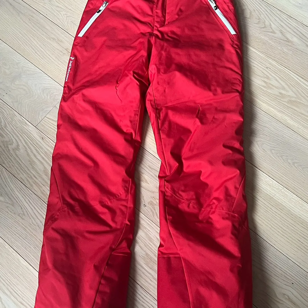 Skidress alpint