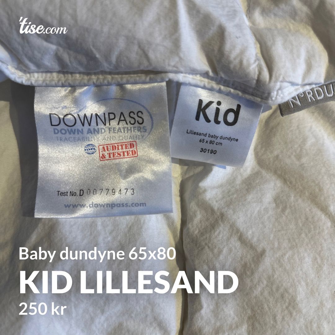 Kid lillesand