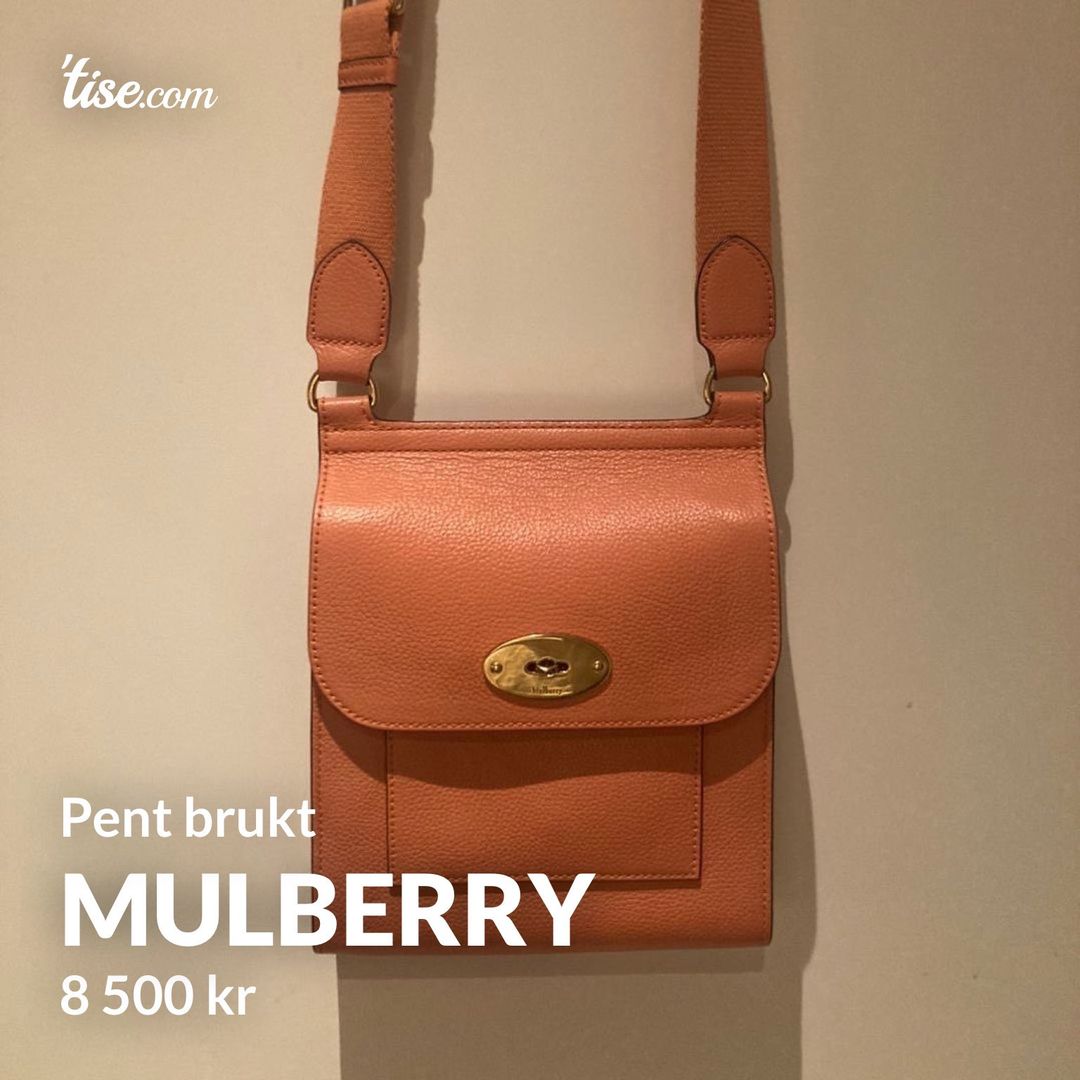 Mulberry