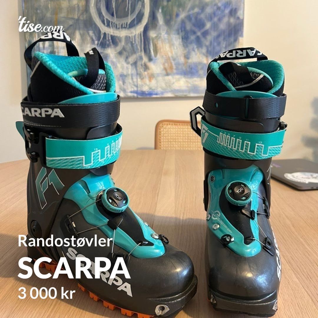 Scarpa