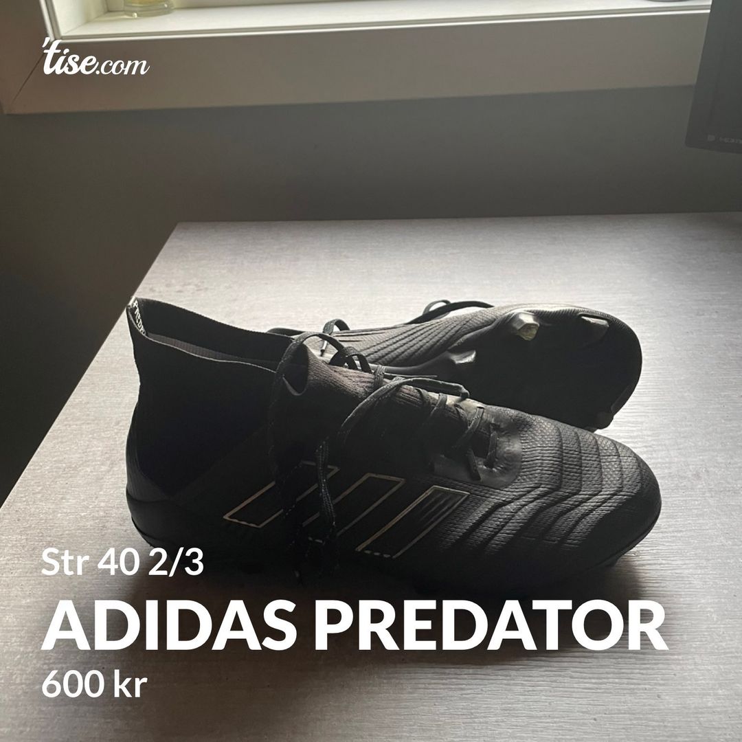 Adidas predator