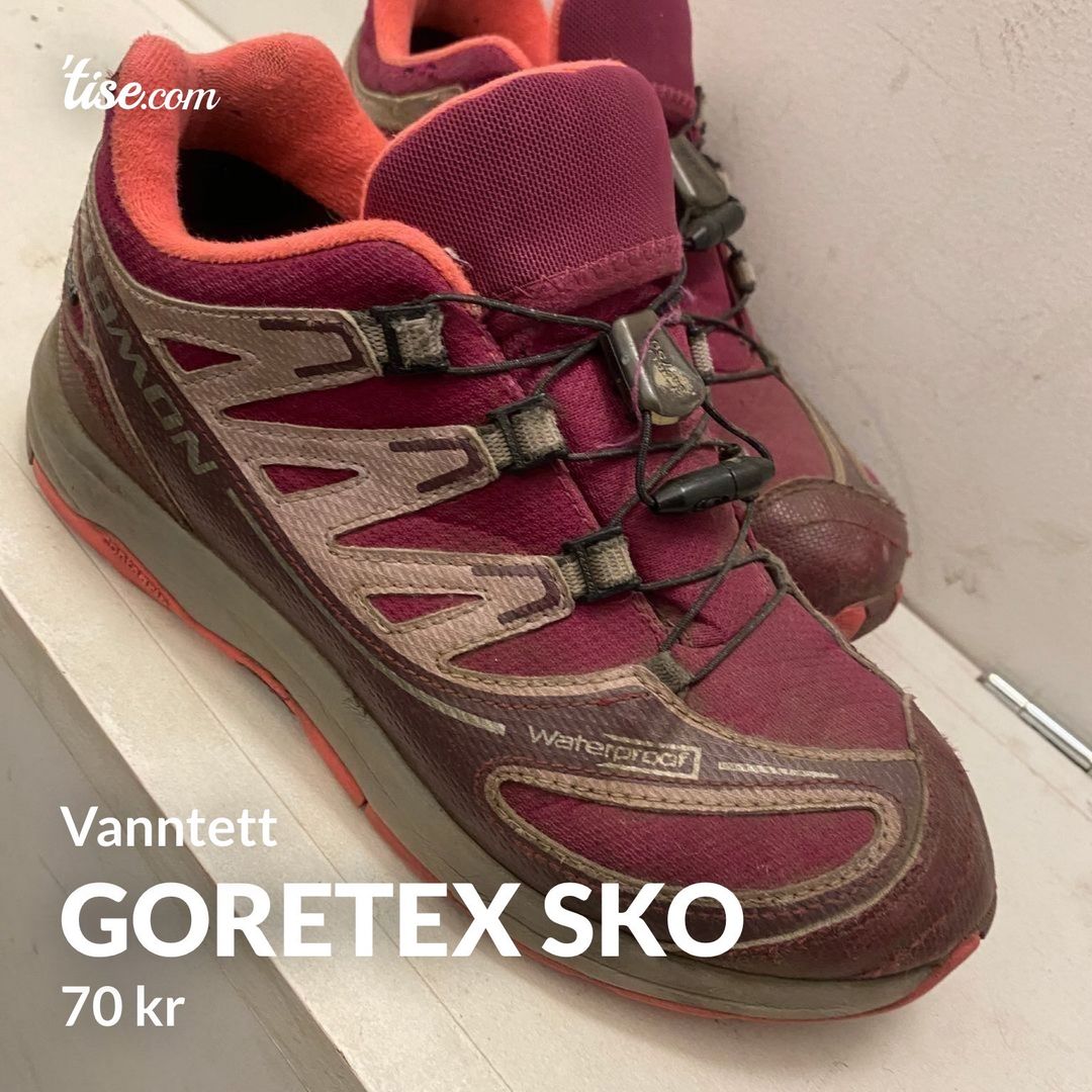 Goretex sko