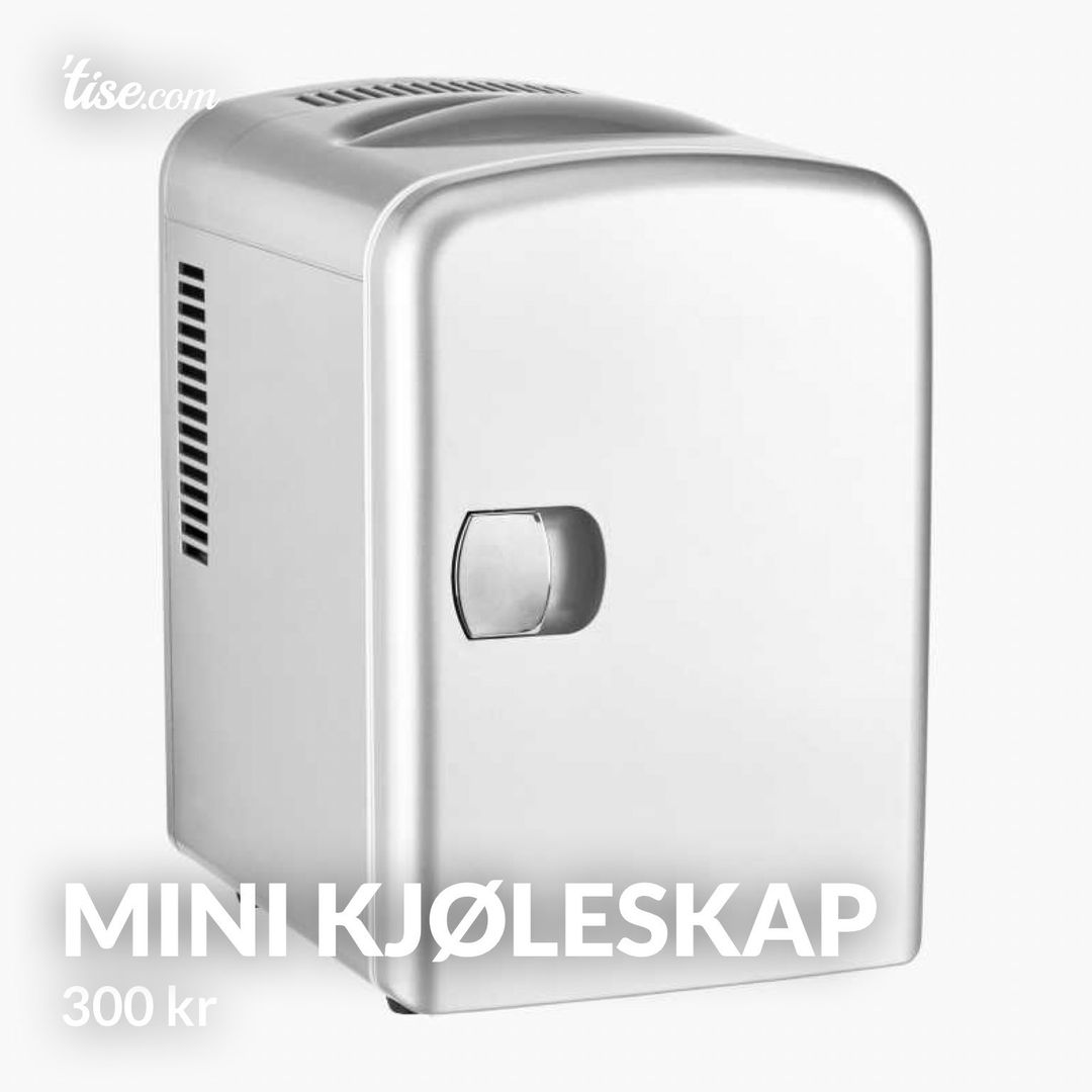 Mini kjøleskap