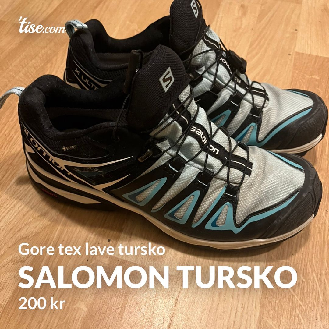 Salomon tursko