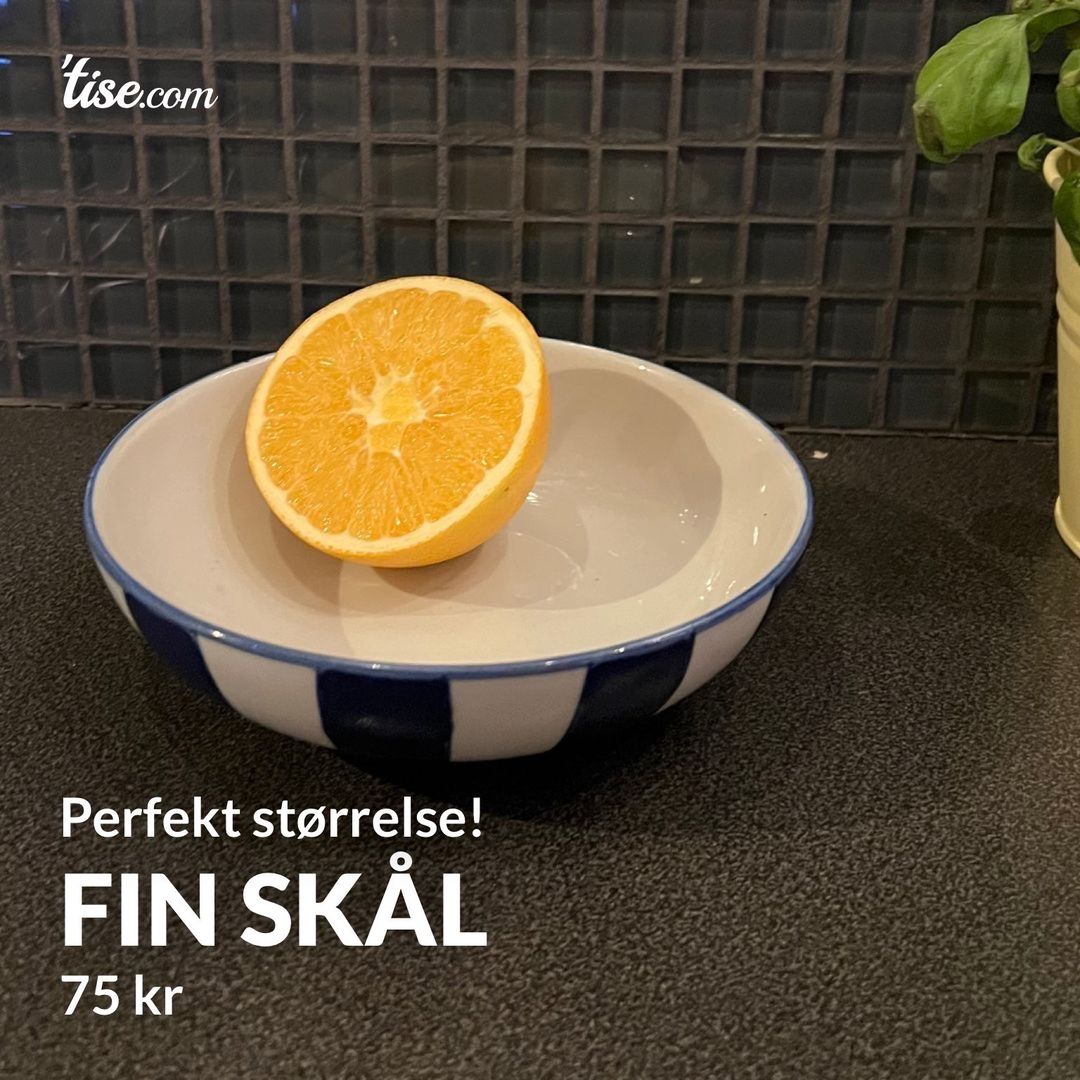 Fin skål