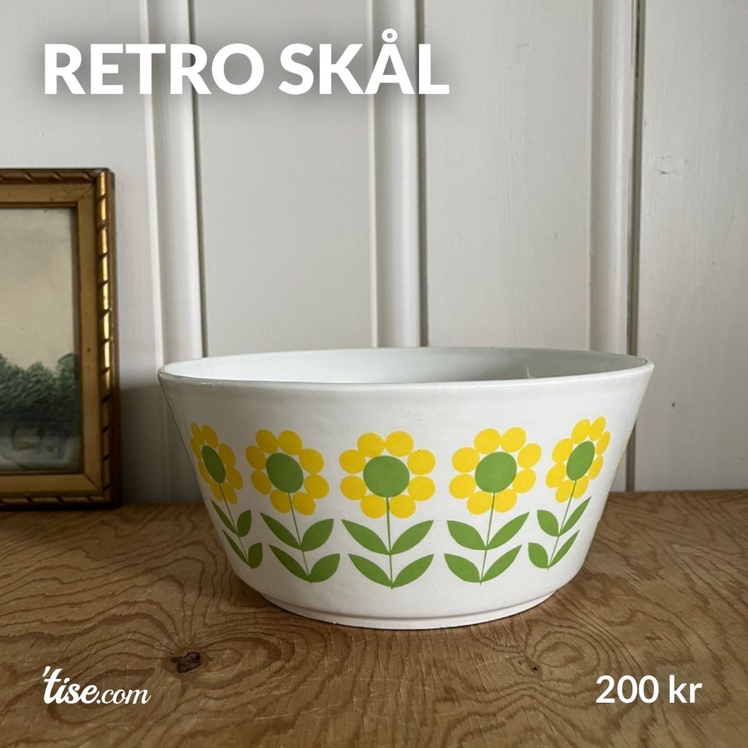 Retro Skål