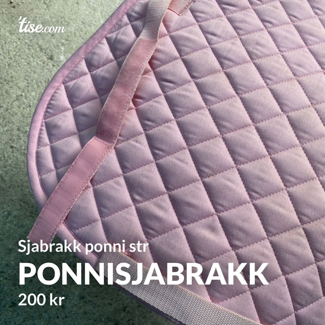 Ponnisjabrakk