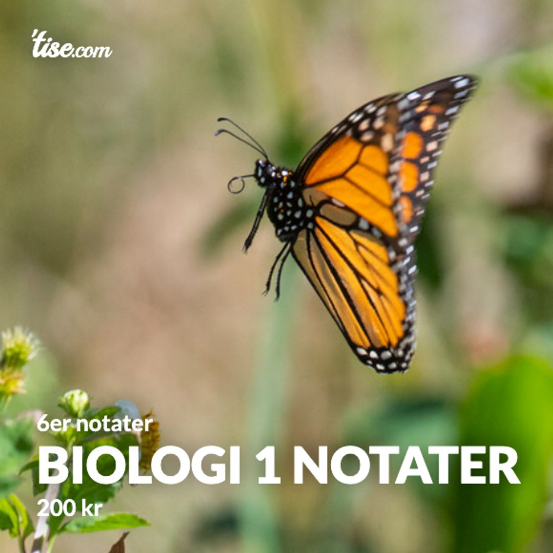 Biologi 1 notater