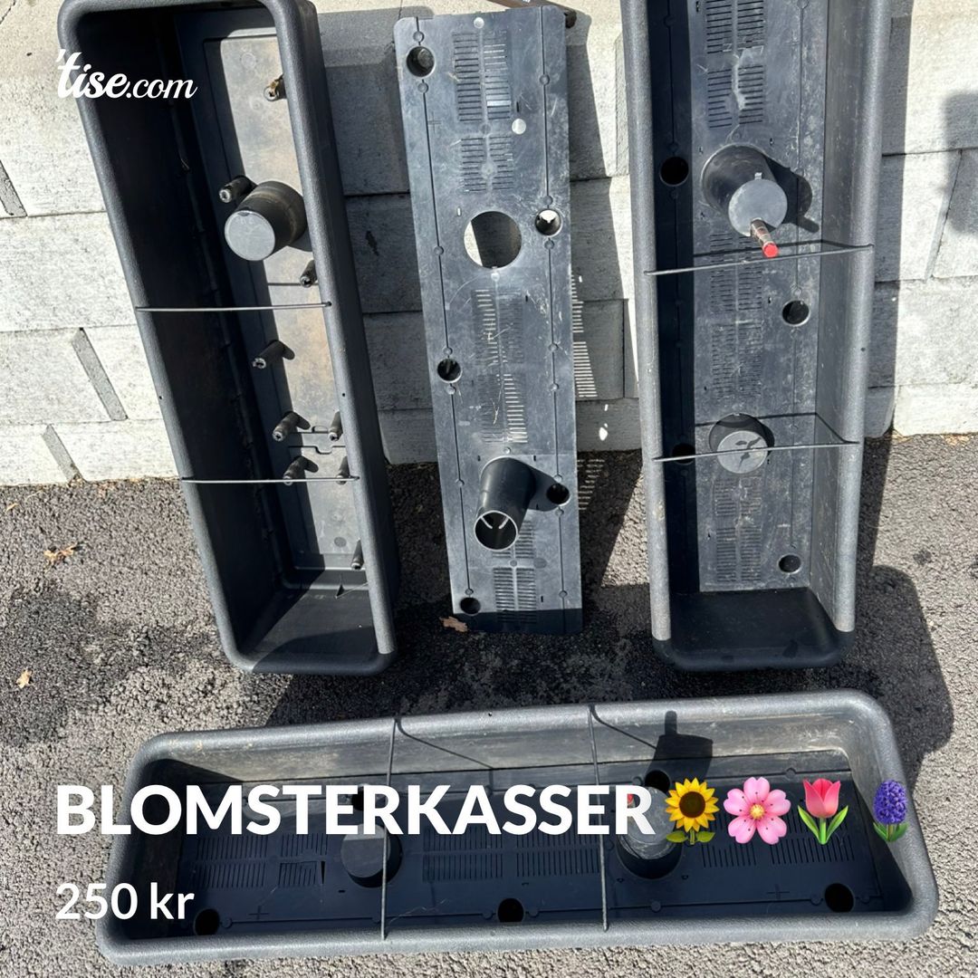 Blomsterkasser🌻🌸🌷🪻