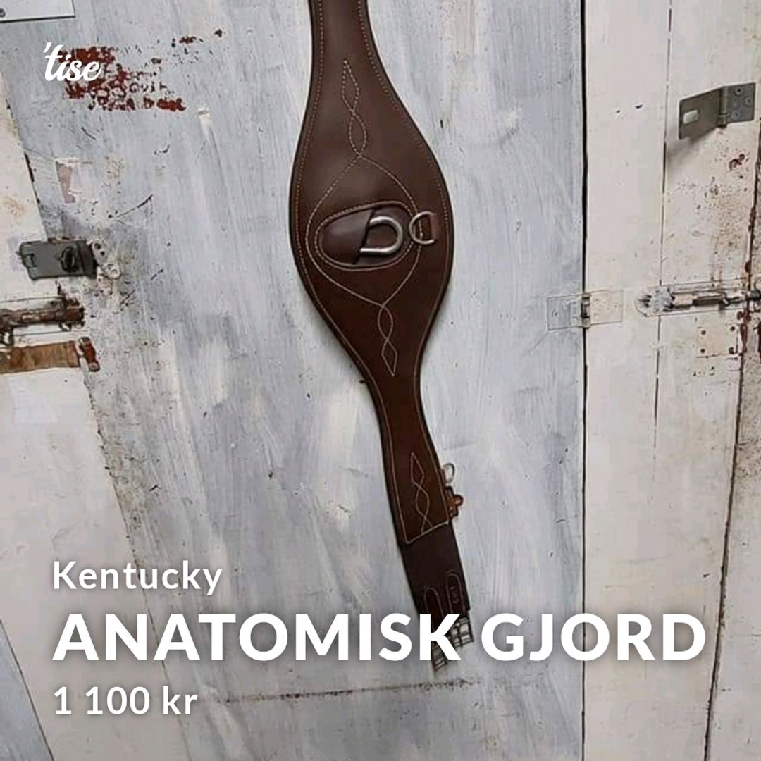 Anatomisk Gjord