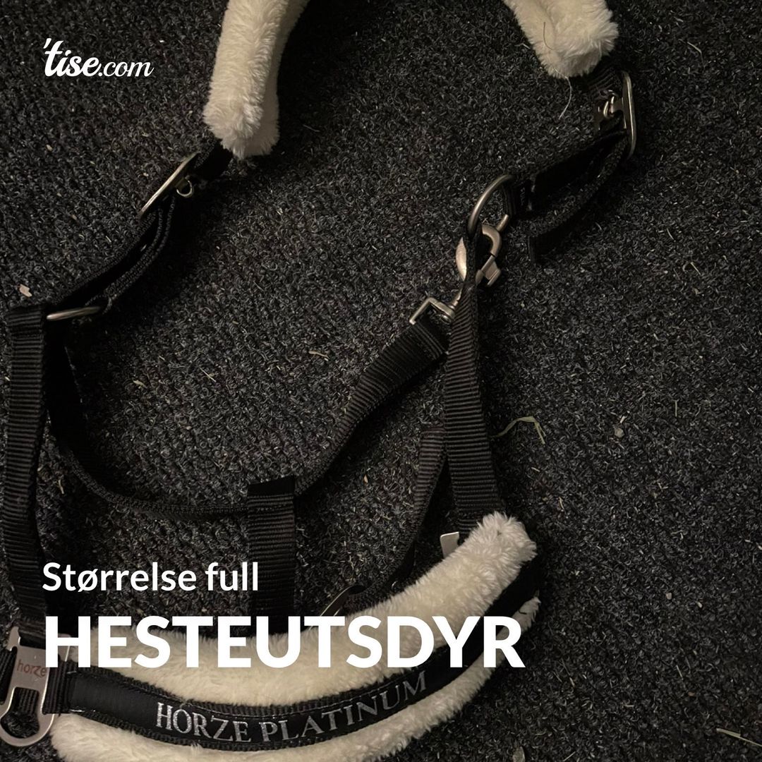 Hesteutsdyr