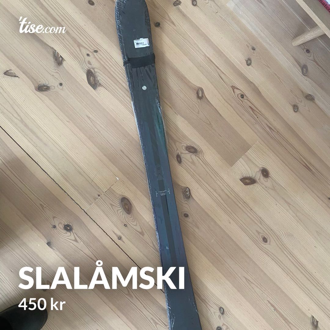 Slalåmski