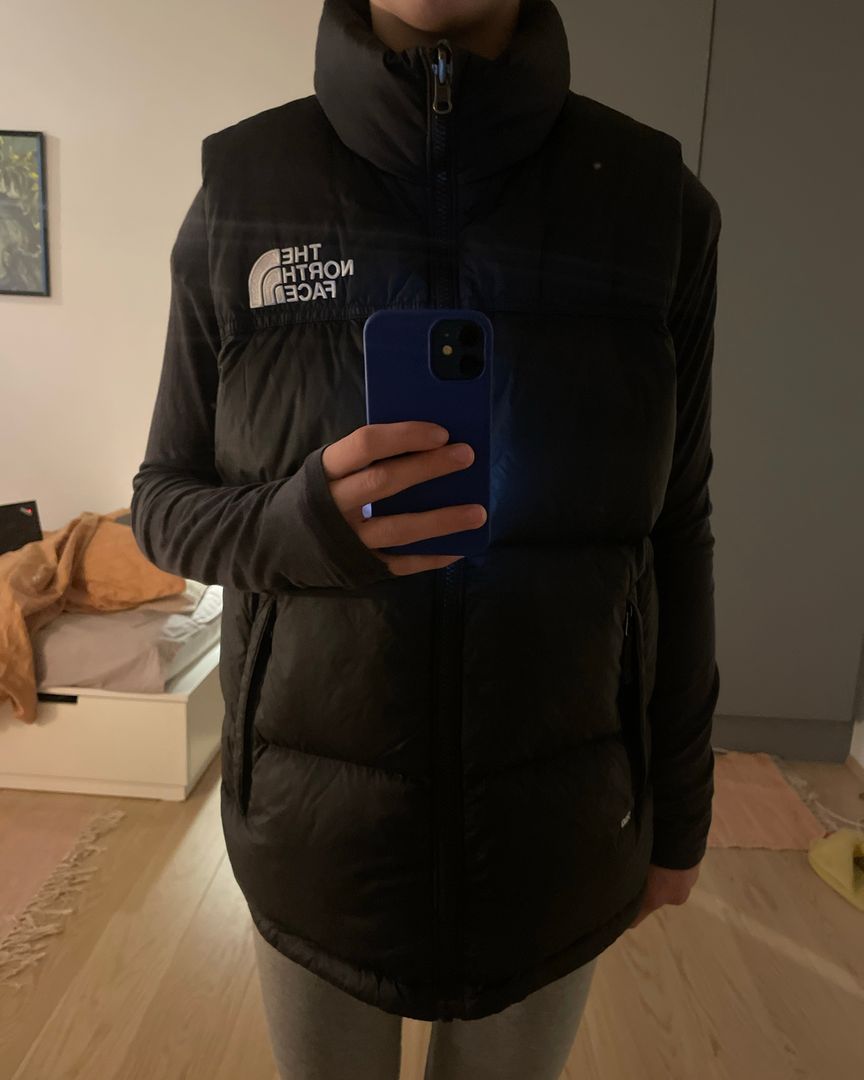 The north face vest